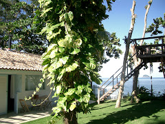 Imagem das acomodações do chalé 7: Marlin Branco / Image of the accommodations on challet 7: "Marlin Branco" Picture of A pousada, seus chalés e arredores. Photo number 3723160447 by Pousada Pé na Areia - Charming, fully decorated sea facing chalets located on Boiçucanga beach, on São Paulo northern shore. Boiçucanga is a beach with calm waters and woundrous sunset, surrounded by the Atlantic Rainforest and by very good restaurants. There also is a complete services infrastructure that includes supermarkets and shopping malls. You can find all that and much more at “Pé na Areia” (aka “Esquina da Mentira”), the perfect place for spending your vacations and weekends, or even having your own house at the sea.